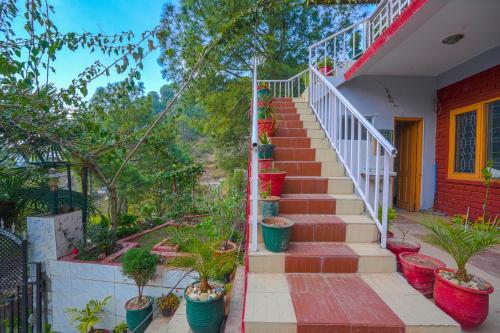 Wow Homestay I Kasauli I Top Rated I Awarded Property