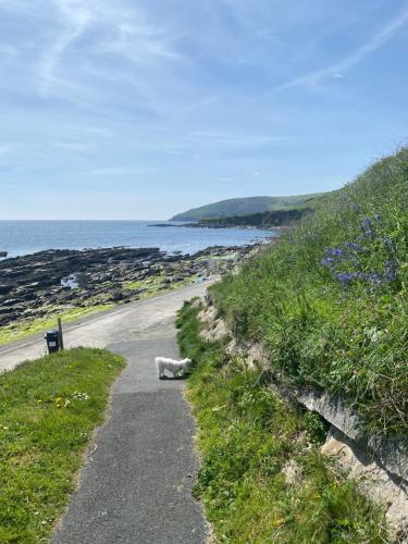 Picture of Sea Spirit - Sweeping Sea Views First Floor Spacious Modern Apartment In Looe- With Free Parking