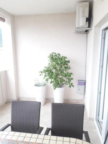 Apartmani Marijana - image 4