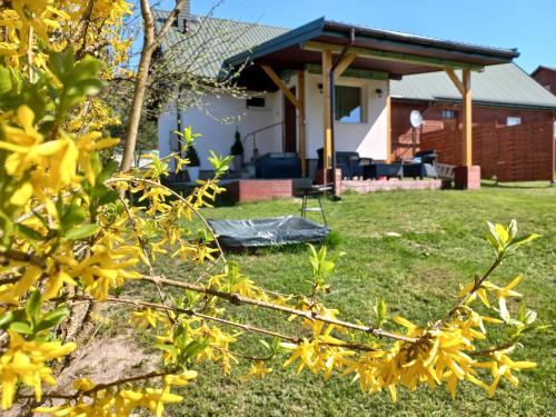 Domek u Jadzi - Accommodation - Zwierzyniec