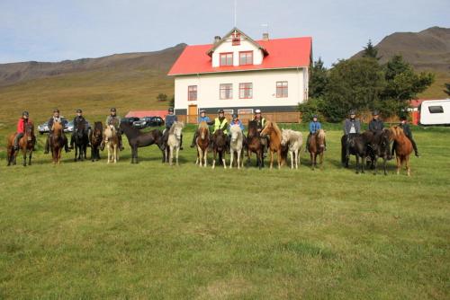 . Ferðaþjónustan Geitaskarði