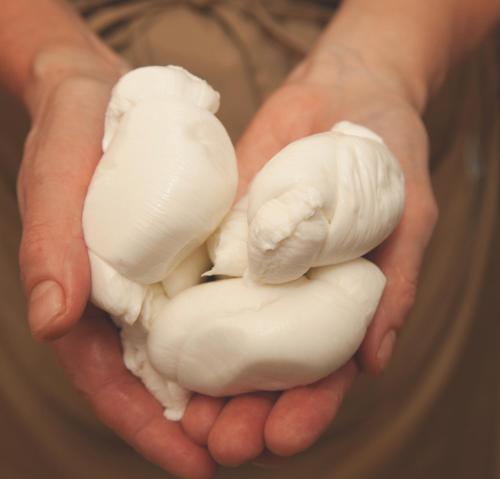 B&B La Casa Pugliese - image 11