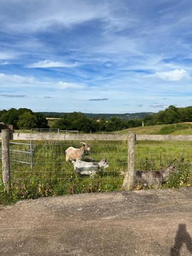 The Gannah Farm Shepherds Hut