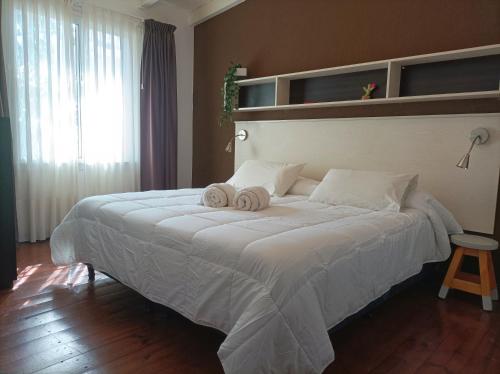 El Cardon - p/6 pax -2 dorm - Amplio y moderno, Salta