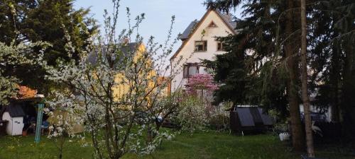 Monteur oder Ferienwohnung in Lichtenstein, Deutschland