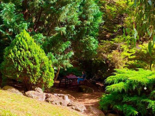 A tranquil break amidst lush greenery and birds