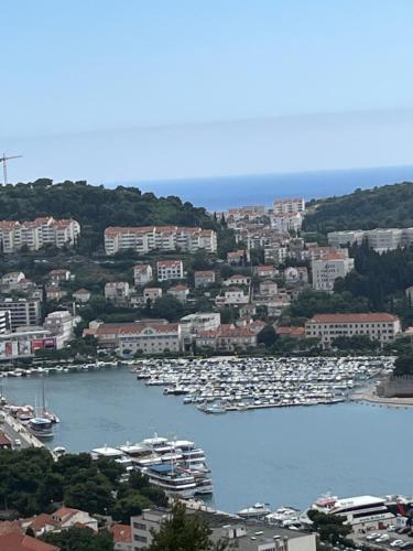 View Dubrovnik