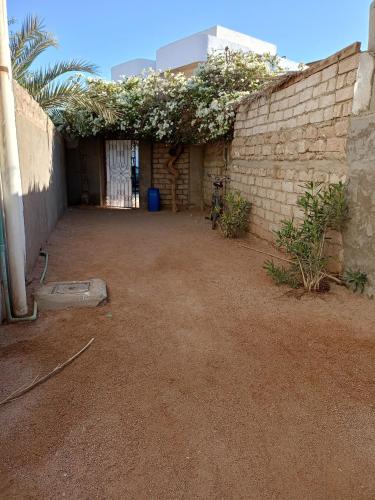 House with backyard in dahab, Дахаб (фото 8)