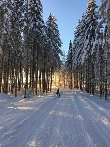 Ferme de ma Grand-Mère (Ferme de ma Grand-Mere) in Haut-du-Them-Château-Lambert
