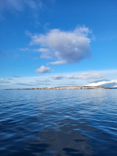 A környék, Ásgarður (Asgarður) in Hrisey