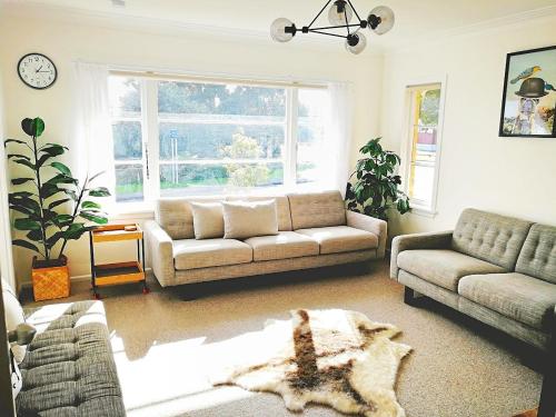 Alta House, Auckland (fotografie 3)