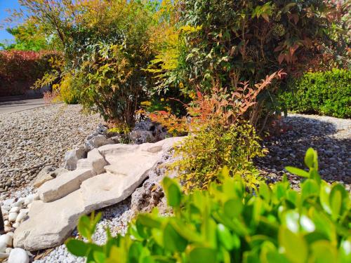 Mamma Puglia Suite & Breakfast - Accommodation - Santeramo in Colle