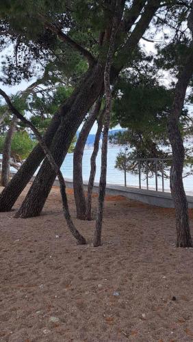 Villa with Sea View image 9