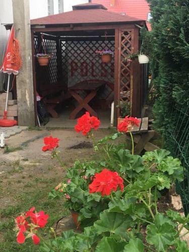 Apartament Pod Kasztanami - BIAŁY (Apartament Pod Kasztanami - BIALY) in Insko