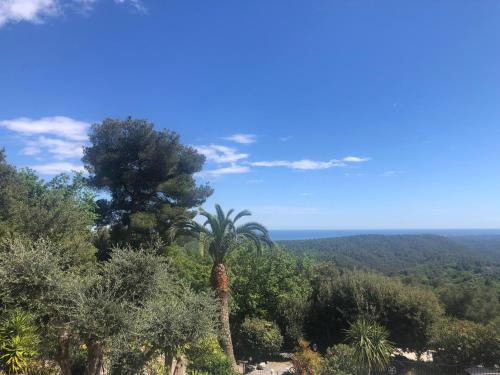 Les Belles Terrasses - image 11