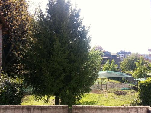 Il Nido del Pettirosso 5