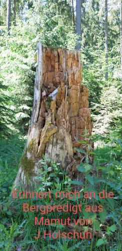 A környék, Ferienwohnung Haus Sommerberg in Beerfelden