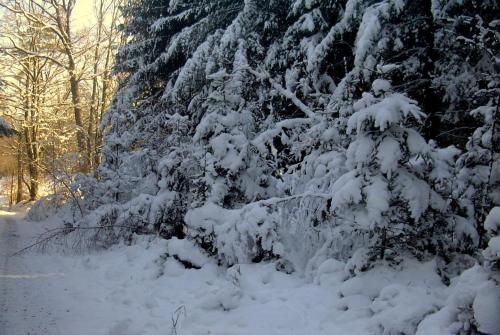A környék, Ferienwohnung Haus Sommerberg in Beerfelden