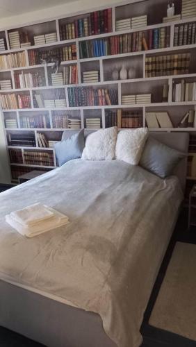 Szürke Macska Vendégszoba * * (Szurke Macska Vendegszoba * *) in Centru oraș Miskolc