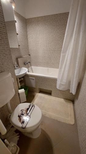 Baie, Szürke Macska Vendégszoba * * (Szurke Macska Vendegszoba * *) in Centru oraș Miskolc