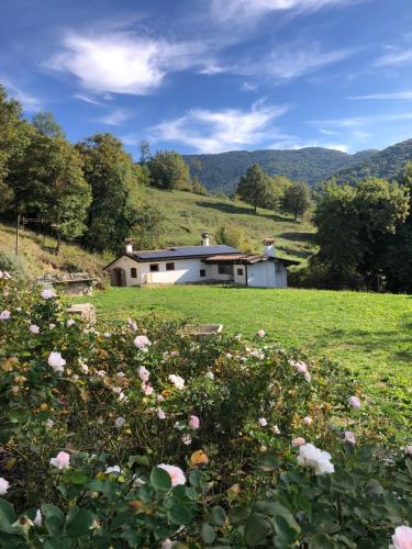  B&B La Casita Eco Country House, Unterkunft in Faedis