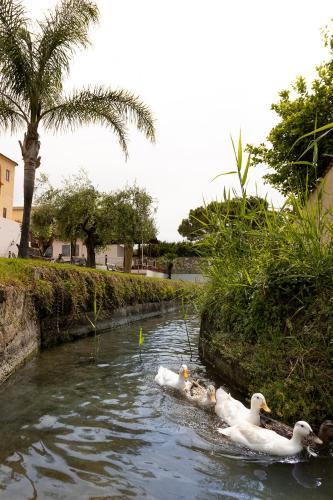 Hotel Poseidonia Mare - image 6