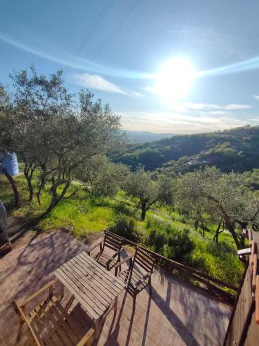  Il Fienile tra gli Ulivi in Lamporecchio
