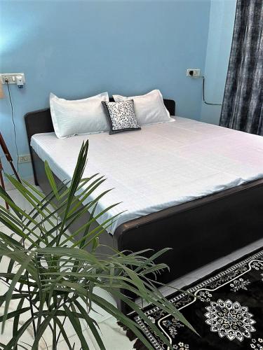 A Perfect Home Stay