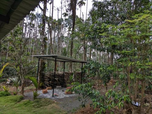 Multiple Stories, Wayanad in Meppadi