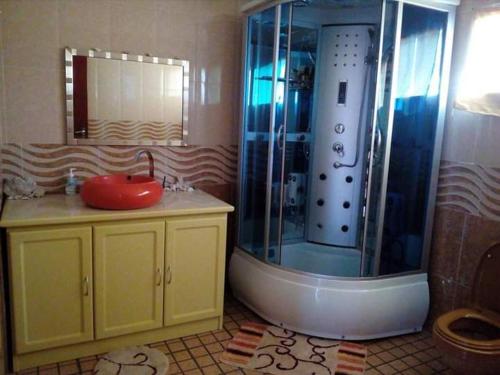 Sur la Route de Tortues in เปอตี กาเบรียล