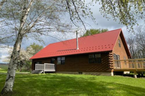Modern Log Cabin with Vineyard Views in Penn Yan, USA