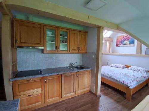Apartma Mojca - main image