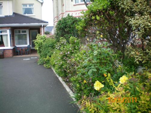 Aaranmore Lodge Guest House - image 5