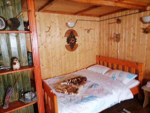 Cabana nea Nicu in Belis