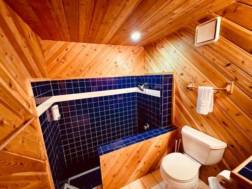 Runway Cabin Retreat With Private Hot Tub!