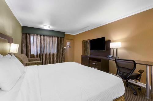 Royal Sun Hotel & Suites - image 3
