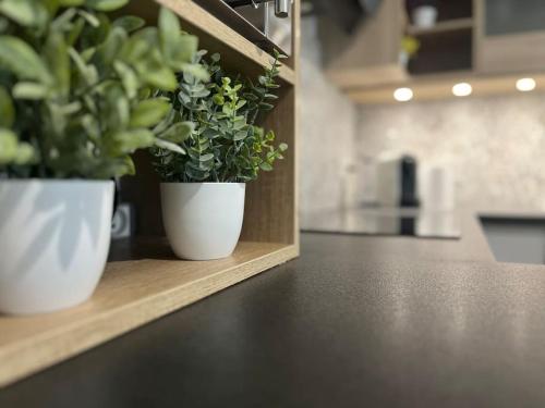 Appartement T2 vue panoramique sur Annecy in เซย์โนด์