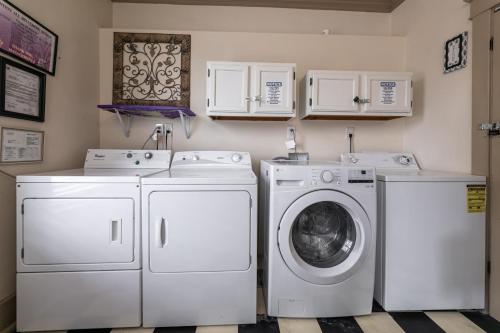 Memphis Belvedere Suites Lower King 1 bedroom near Overton Park