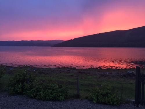 Seal Cove Cabin - Luxury Glamping