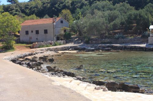 Apartments by the sea Grscica, Korcula - 20976