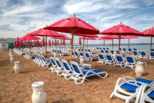 Sun studios in porto south beach families only photo