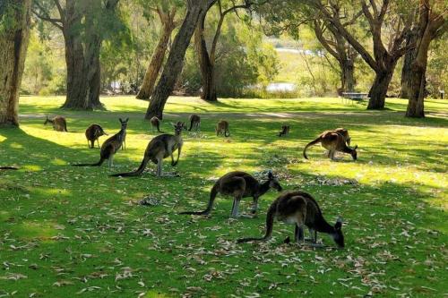 Lagoon Guesthouse in Yanchep