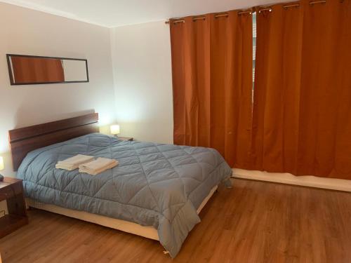 A 100 pasos de la Alameda 45910 - Apartment - Santiago