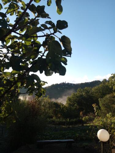  Agriturismo La Fogona in Carrodano Superiore