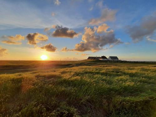 Surrounding environment, Ferienwohnung "Luttmoor" an der Nordsee in Reussenkoge