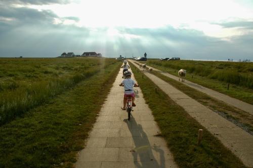 Surrounding environment, Ferienwohnung "Luttmoor" an der Nordsee in Reussenkoge