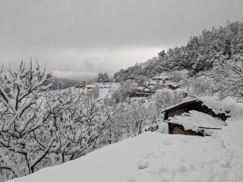 NamaStay Himalayas! KANATAL in Kanatal