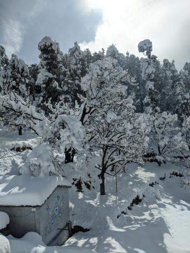 NamaStay Himalayas! KANATAL in Kanatal