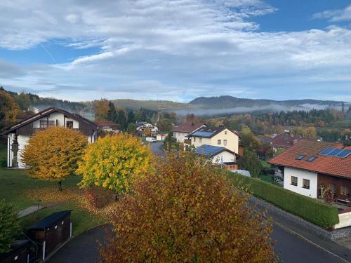 Panorama Apartment 62 & Mountain View & Parking, Zwiesel (Foto 3)