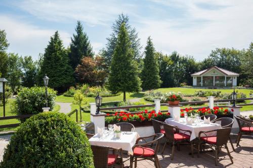 Hotel Gerbe - image 8